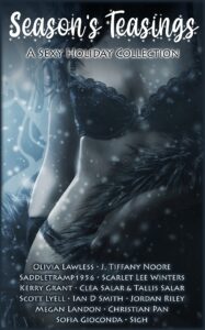 Season's Teasings: A Sexy Holiday Collection