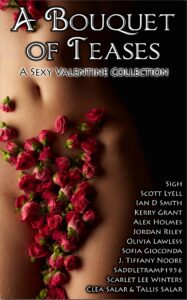 A Bouquet of Teases: A Sexy Valentine Collection