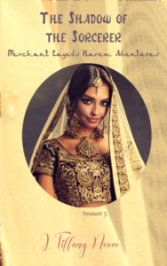 The Shadow of the Sorcerer - Merchant Zayed's Harem Adventures 3